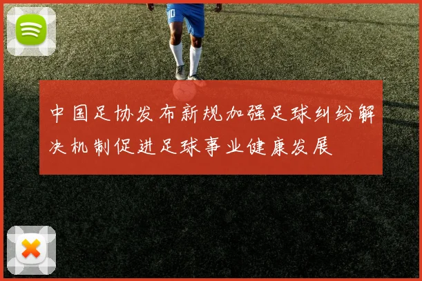 中国足协发布新规加强足球纠纷解决机制促进足球事业健康发展