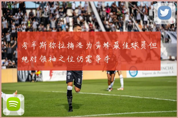 考辛斯称拉梅洛为黄蜂最佳球员但绝对领袖之位仍需争夺